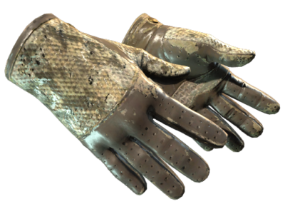 Driver Gloves | Diamondback ( Battle-Scarred)