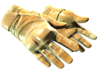 Moto Gloves | Transport ( Minimal Wear)