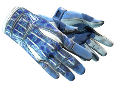 Sport Gloves | Amphibious ( Field-Tested)