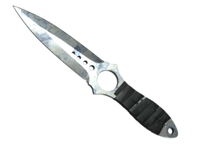 ★ Skeleton Knife | Stained ( Well-Worn)