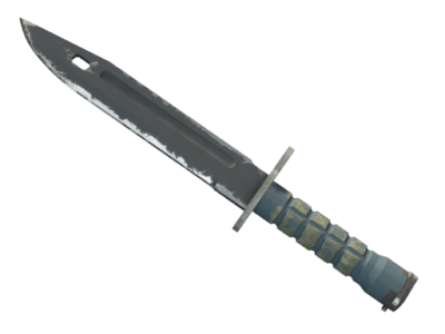 ★ Bayonet | Night ( Field-Tested)