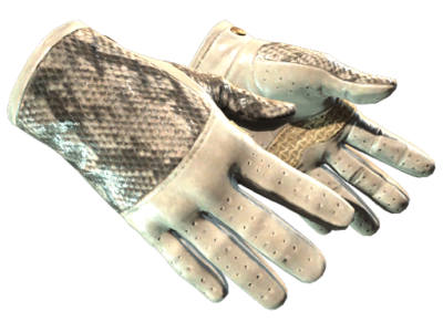 Driver Gloves | King Snake ( Minimal Wear)