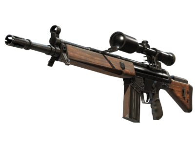 G3SG1 | Hunter ( Factory New)