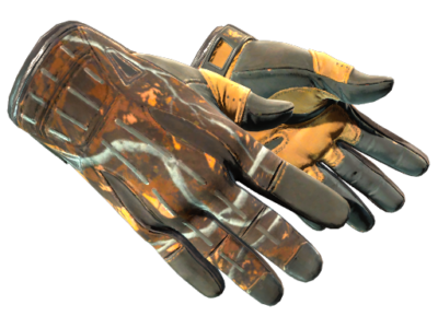 ★ Sport Gloves | Big Game ( Minimal Wear)