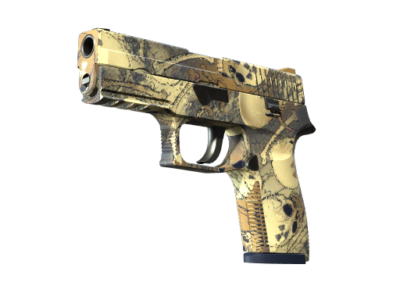 P250 | Contamination ( Factory New)